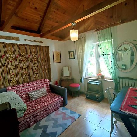 Domek Nad Poranna Rosa Garbatka-Letnisko Zewnętrze zdjęcie